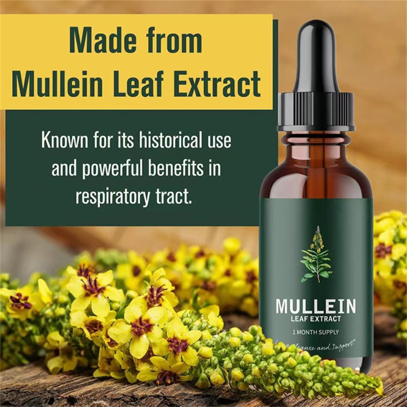 Mullein & Chlorophyll Extract