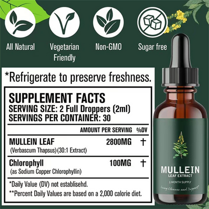 Mullein & Chlorophyll Extract