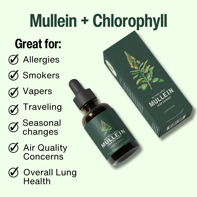 Mullein & Chlorophyll Extract