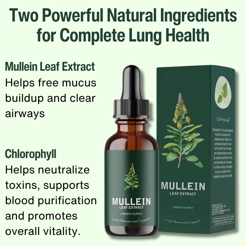 Mullein & Chlorophyll Extract