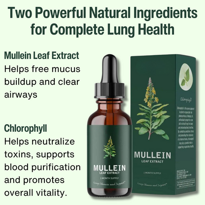 Mullein & Chlorophyll Extract