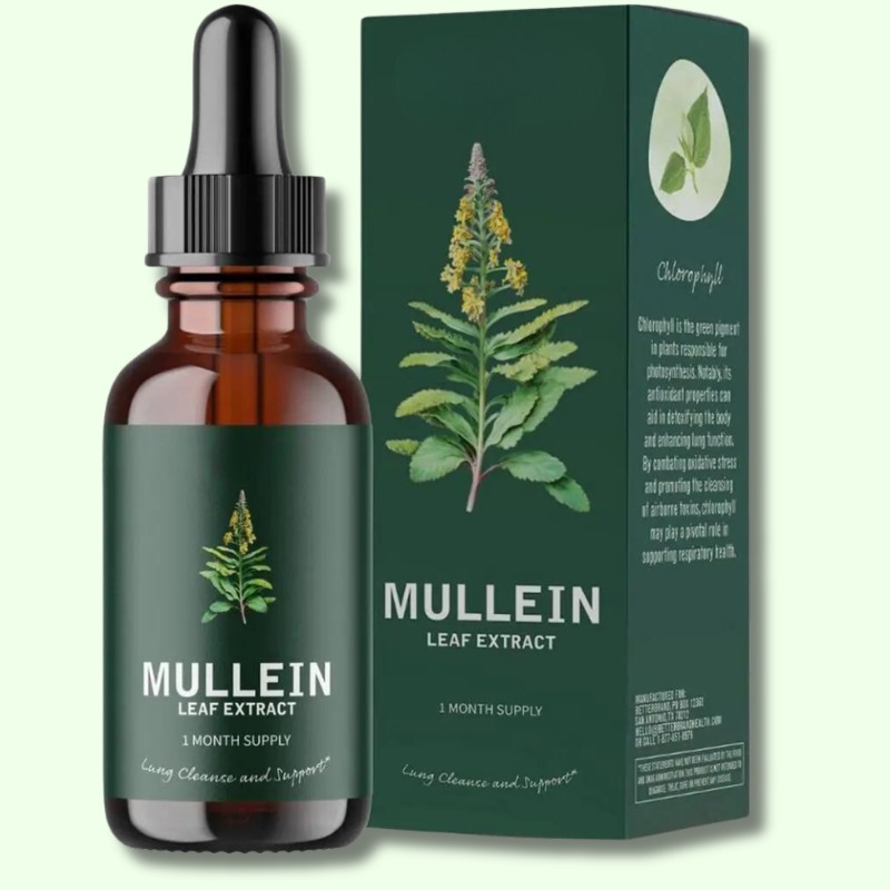 Mullein & Chlorophyll Extract