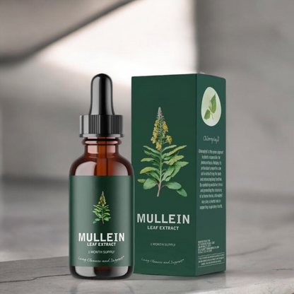 Mullein & Chlorophyll Extract